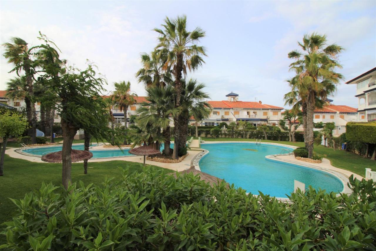 Elvira Home, Coqueto Apartamento Con Piscina En La Mata, Torreviejaaq-153 La Mata  Eksteriør billede